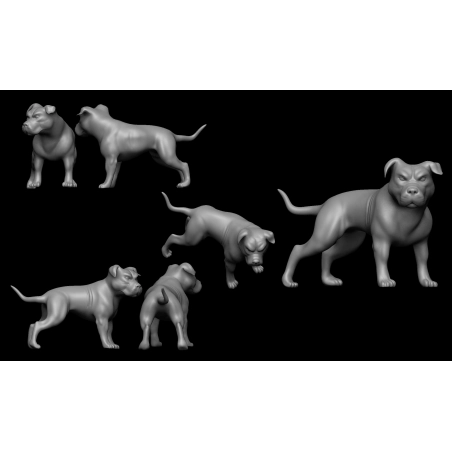 11 Miniatures Starter Set (digital)