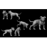 11 Miniatures Starter Set (digital)