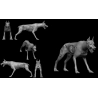11 Miniatures Starter Set (digital)